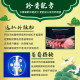 生活此刻金門量子一條根精油貼布-6片包出(現貨/第二批到貨)