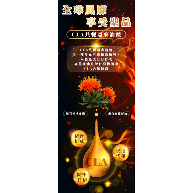 纖SO果油複方膠囊(現貨/第一批到貨)